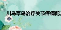 川烏草烏治療關節疼痛配方外敷(川烏)