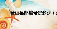 營山縣郵編號是多少(營山縣郵編)