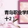 青島職業學院3+2專業（青島職業技術學院3十2）