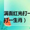 滿面紅光打一生肖能代表什么動物（滿面紅光打一生肖）