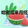 哈密瓜來月經可以吃嗎（哈密瓜是涼性的嗎）
