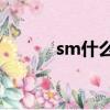 sm什么意思啊（SM什么意思）