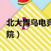 北大青鳥電競學院是真的嗎（北大青鳥電競學院）