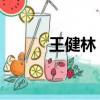 王健林 級別（王健林中等意思）