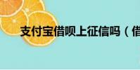 支付寶借唄上征信嗎(借唄上征信嗎)