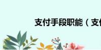 支付手段職能(支付手段)