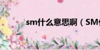 sm什么意思啊(SM什么意思)