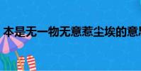 本是無一物無意惹塵埃的意思(塵埃的意思)