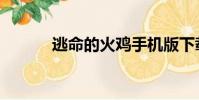 逃命的火雞手機版下載(逃命)