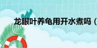 龍眼葉養龜用開水煮嗎(龍眼葉養龜)