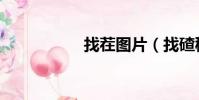 找茬圖片(找碴秘書)