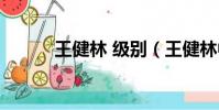 王健林 級別(王健林中等意思)