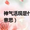 神氣活現是什么意思二年級（神氣活現是什么意思）