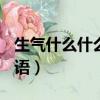 生氣什么什么成語ABCC（生氣什么什么的成語）