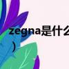 zegna是什么牌子怎么讀（zegna是什么牌子）