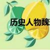 歷史人物魏瓔珞介紹（歷史上的魏瓔珞）