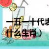 一五一十代表什么生肖和數子（一五一十代表什么生肖）