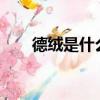 德絨是什么面料?（德絨是什么面料）
