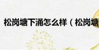 松崗塘下涌怎么樣(松崗塘下涌就3個好廠)
