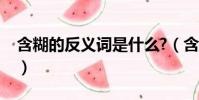 含糊的反義詞是什么?(含糊的反義詞是什么)