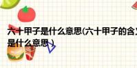 六十甲子是什么意思(六十甲子的含義)-久竹逍遙(六十甲子是什么意思)