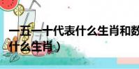 一五一十代表什么生肖和數子(一五一十代表什么生肖)