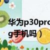 華為p30pro是5g手機嗎?（華為p30pro是5g手機嗎）
