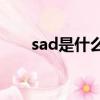 sad是什么意思（angry是什么意思）