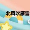 北風吹雁雪紛紛全詩（北風吹雁雪紛紛）