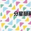 分星掰兩打一個生肖（分星掰兩）