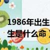1986年出生是什么命五行屬什么（1986年出生是什么命）