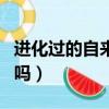 進化過的自來水能直接喝嗎（自來水能直接喝嗎）