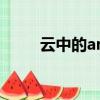 云中的angle張杰（云中的angle）