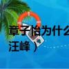 章子怡為什么嫁給汪峰組（章子怡為什么選擇汪峰）