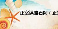 正室謀略石阿(正室謀略)