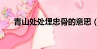 青山處處埋忠骨的意思(忠骨的意思)