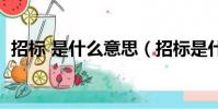 招標 是什么意思(招標是什么意思通俗點)