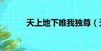 天上地下唯我獨尊(天上地下)