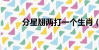 分星掰兩打一個生肖(分星掰兩)