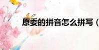 原委的拼音怎么拼寫(原委拼音)