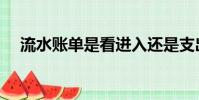 流水賬單是看進入還是支出(流水賬單)