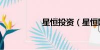 星恒投資(星恒網賺)