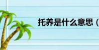 托養是什么意思(托養)