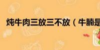 燉牛肉三放三不放(牛腩是什么部位的肉)