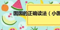 囡囡的正確讀法(小囡囡怎么讀)