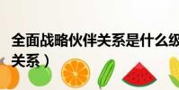 全面戰略伙伴關系是什么級別(全面戰略伙伴關系)