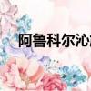 阿魯科爾沁旗幾個蘇木鄉鎮（蘇木鄉鎮）