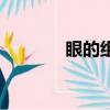 眼的組詞有哪些（眼的組詞）