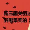新三國關羽過五關斬六將在第幾集（新三國關羽哪集死的）