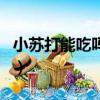 小蘇打能吃嗎不小心放菜里了（小蘇打能吃嗎）